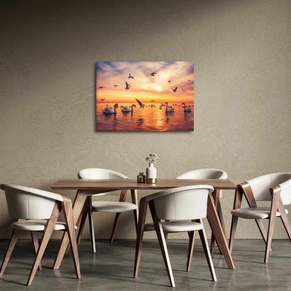 Kép - Hattyúk (70x50 cm)