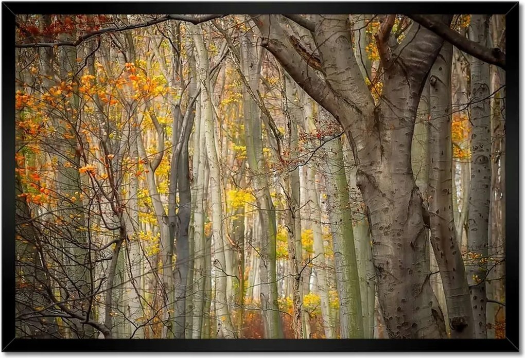 Poszterek keretben 60x40 Tájkép Látvány