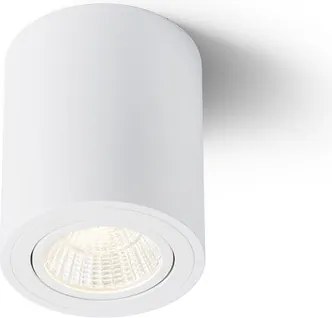 RENDL MAYO R mennyezeti billenthető fehér 230V LED 9W 36° 2700K