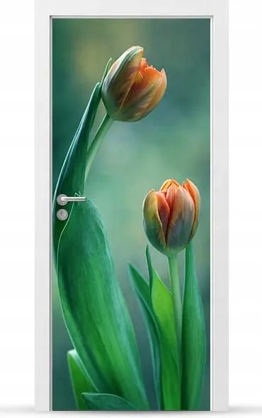 Furnér Kültéri Ajtó matrica Bútor öntapadós Könnyű Ragasztás