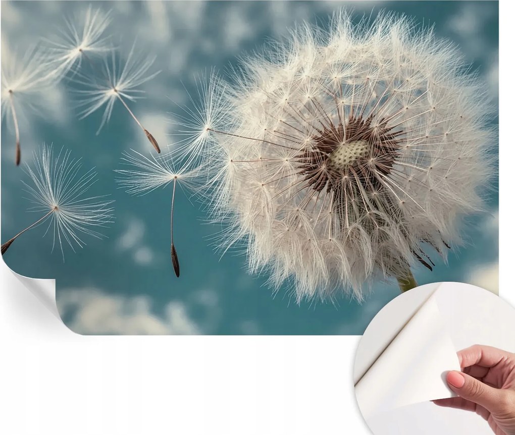 Modern öntapadós fotótapéta falra Könnyű éteriség 104x70 cm