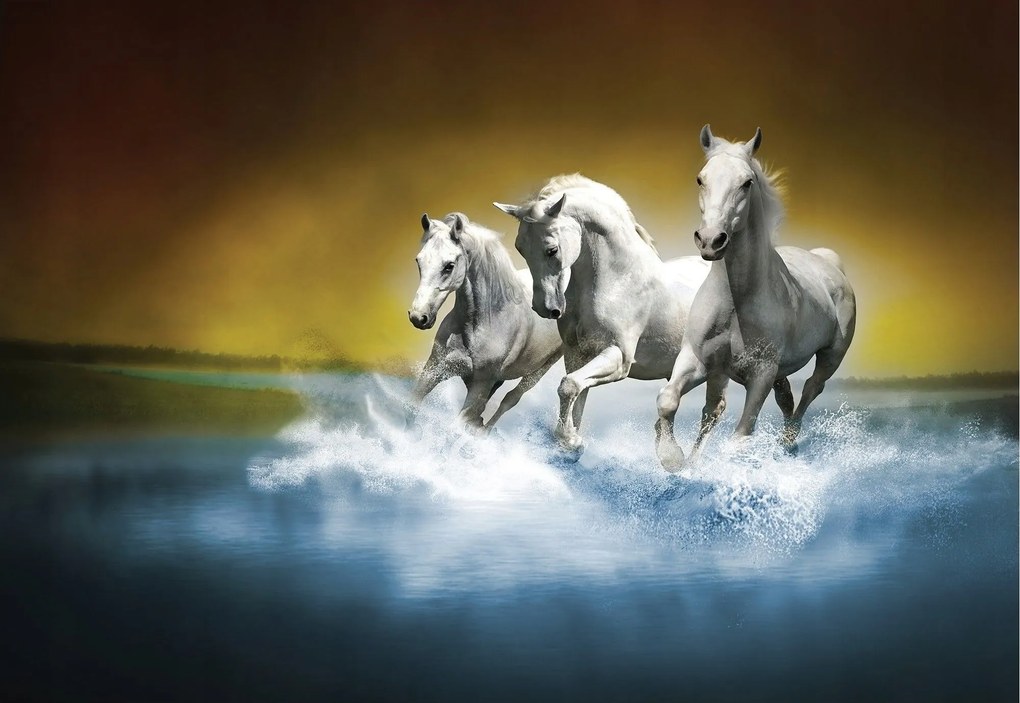 Flizelin fotótapéta Fehér lovak erő szabadság és kecsesség 416x254 +ragasztó