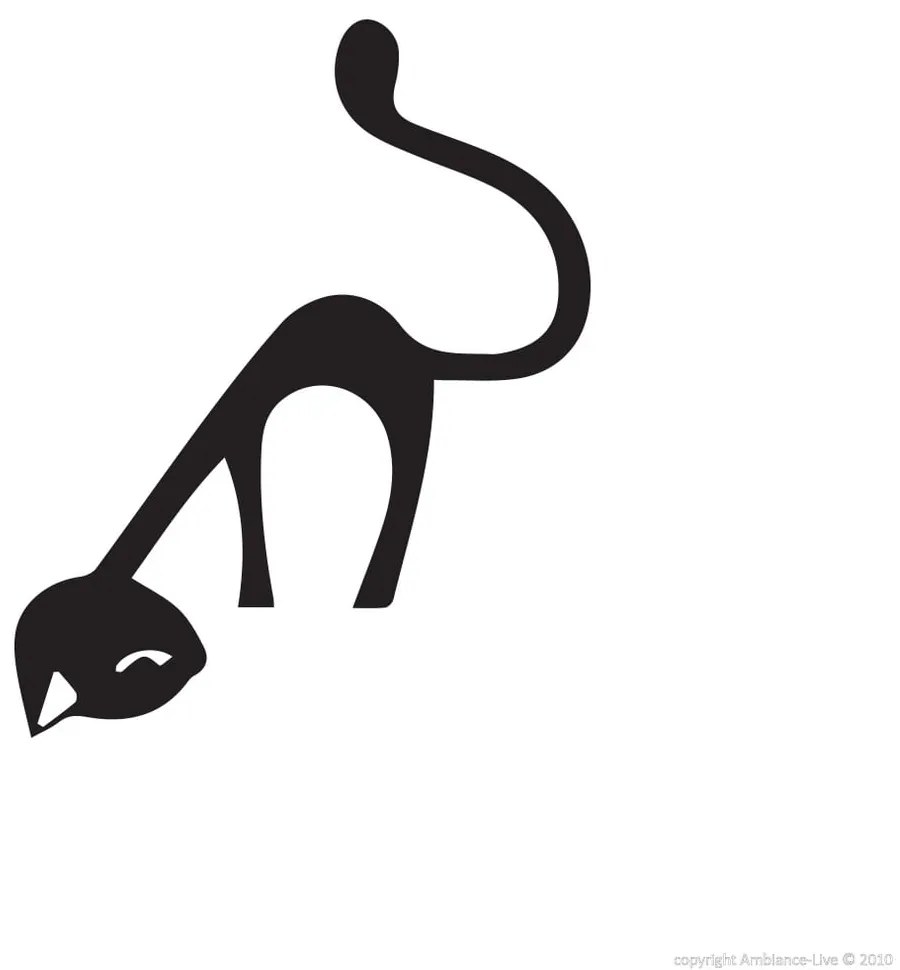 Funny Cat falmatrica - Ambiance