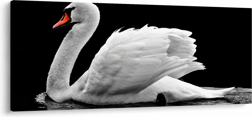 Fekete-fehér hattyúk képe (120x50 cm)