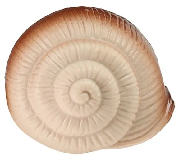 Szilikon csiga kemény csigaházzal - 11 cm