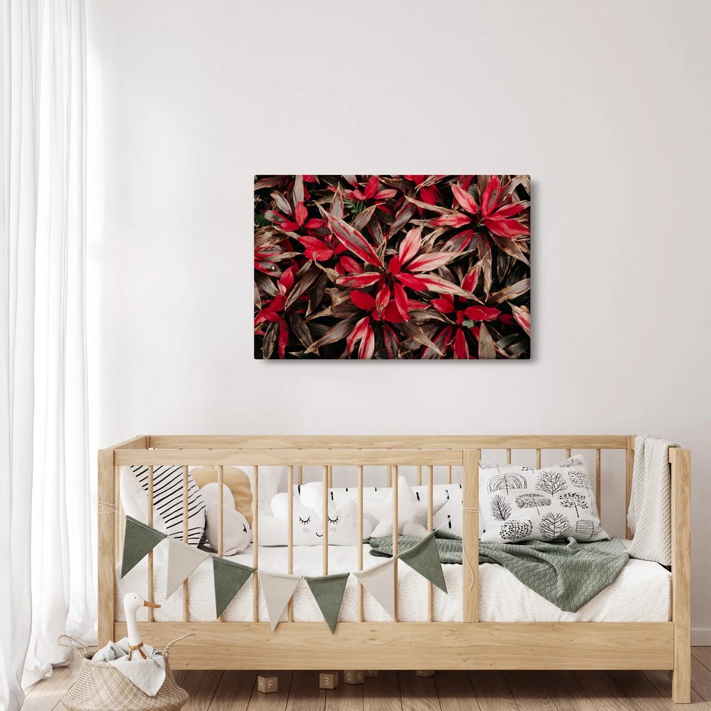 Piros szirmok képe (90x60 cm)