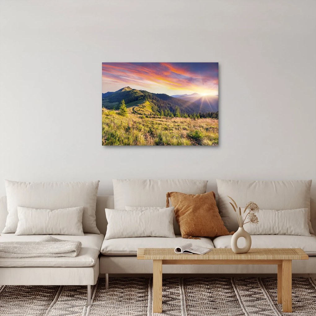 Kép - Erdei táj (70x50 cm)