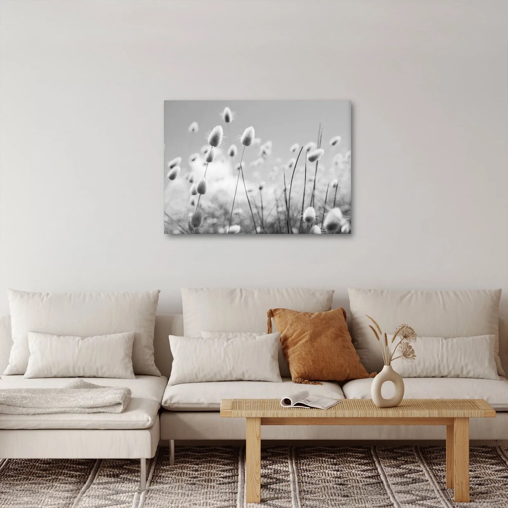 Kép - Boho nyuszi farok fű (70x50 cm)