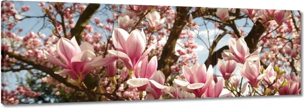 Vászonkép 90x30 Magnólia Virágok Kék