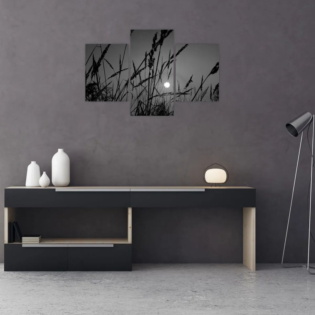 Kép - rét naplementével (90x60 cm)