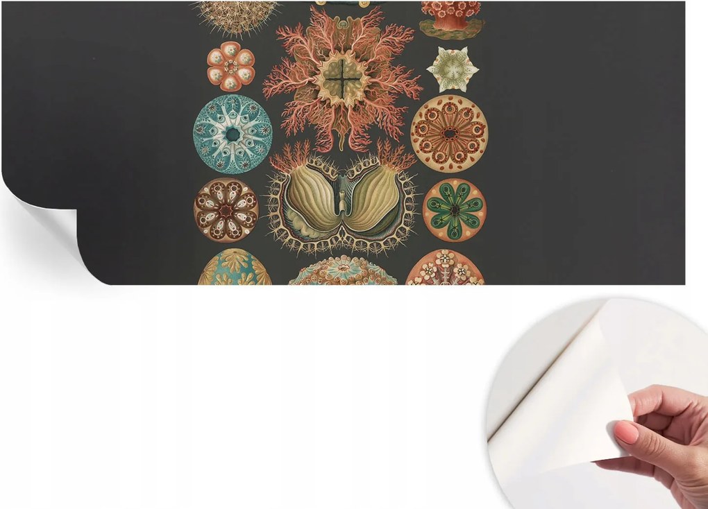 Dekoratív Öntapadós Tapéta Divatos Tengeri Minták Inspirációk 250x104 cm