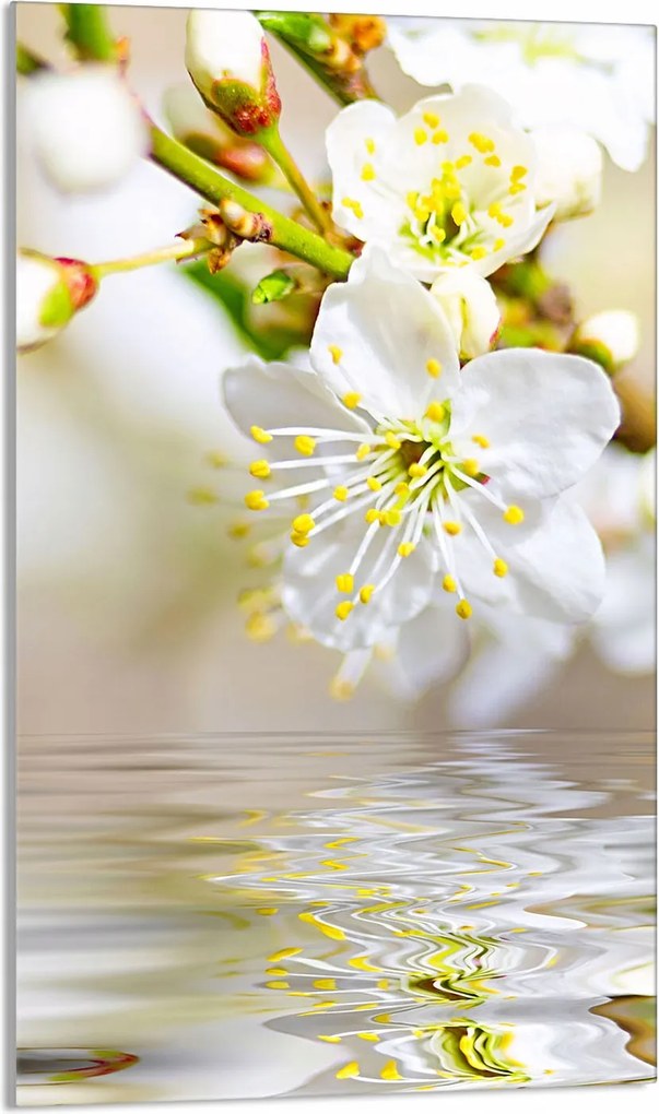 Üveg Vágódeszka 30x52 Szilva a Konyhába