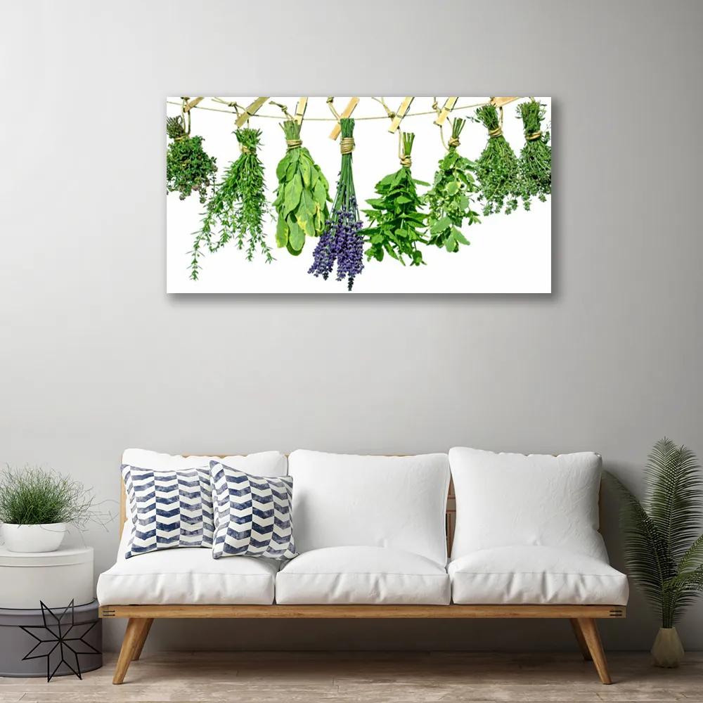 Vászonfotó Szirmok virágok Gyógynövények 100x50 cm