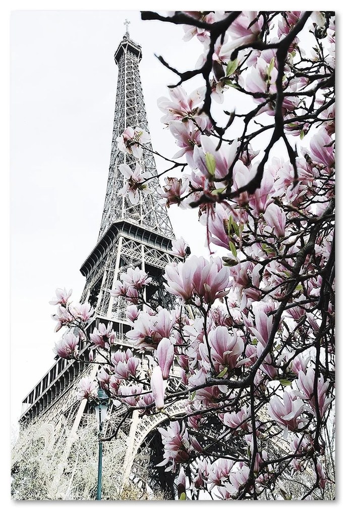 Gario Vászonkép Eiffel-torony és magnóliák - Dmitry Belov Méret: 80 x 120 cm