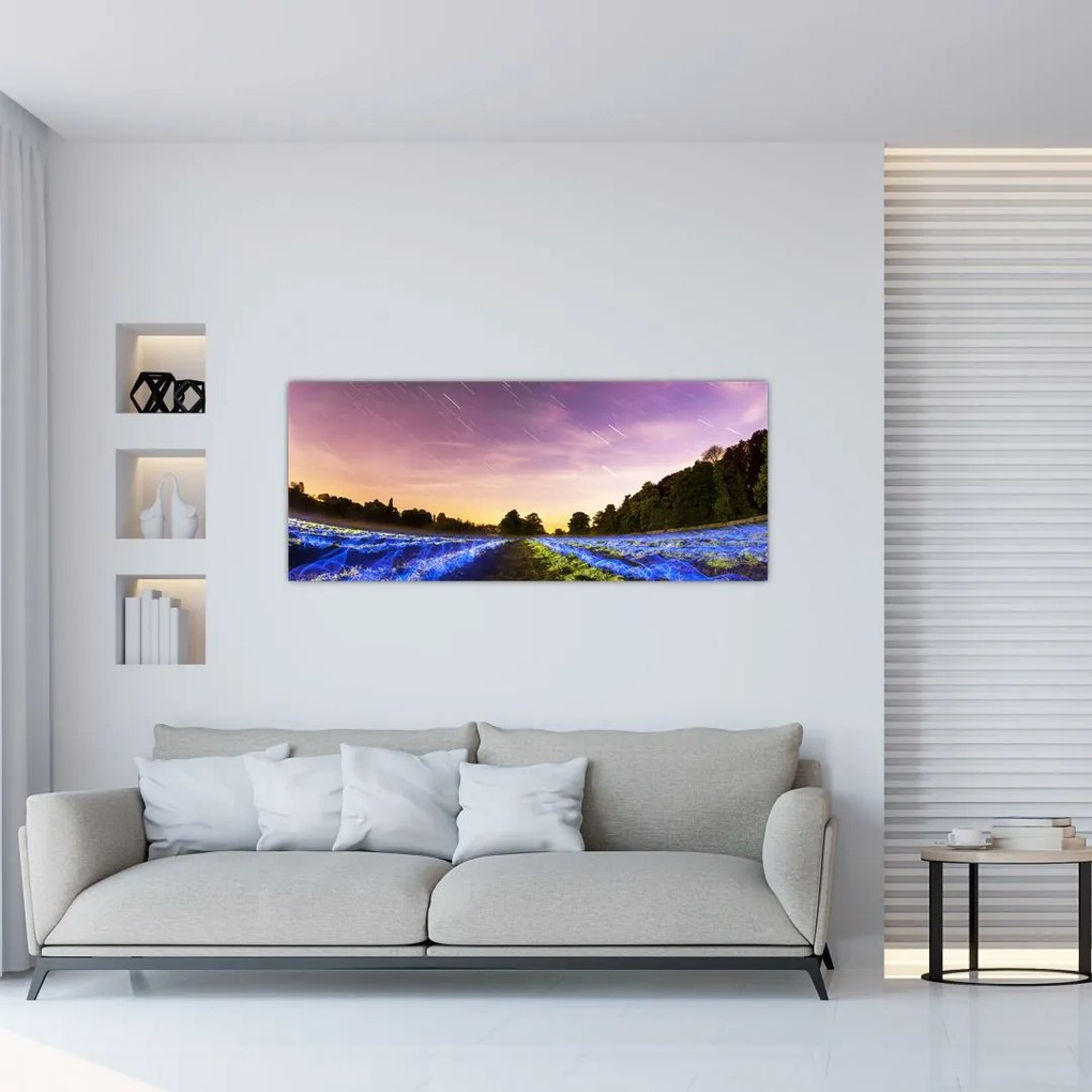 Színes mező képe (120x50 cm)