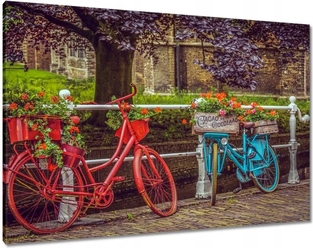 Képek 100x70 Kerékpárok Két kerék