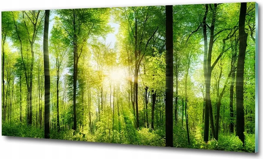 Fotótapéta üvegfalra Nyugat a tengerparton 100x70