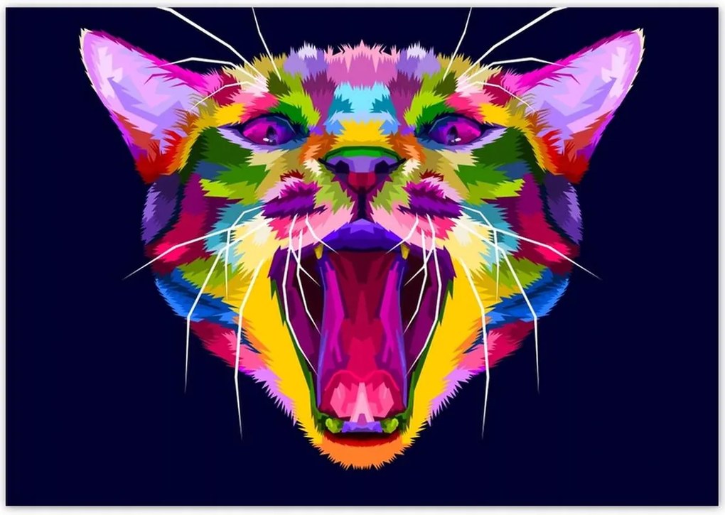 Poszterek 100x70 Cica Cicák