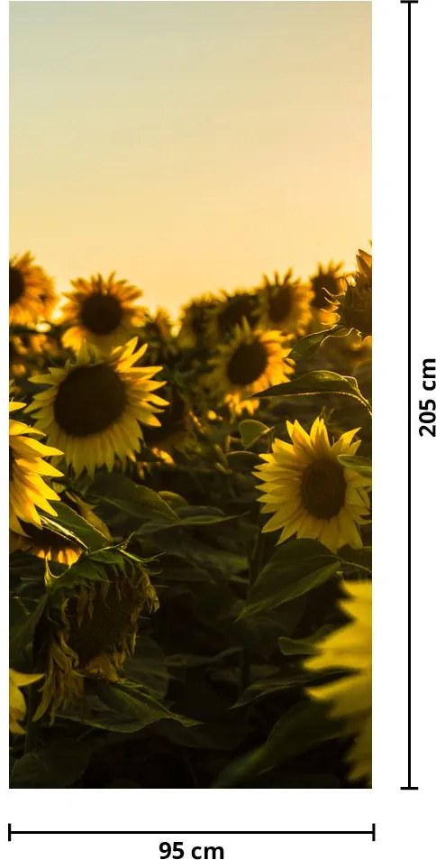 Fotótapéta ajtóra - Napraforgó mező (95x205cm)