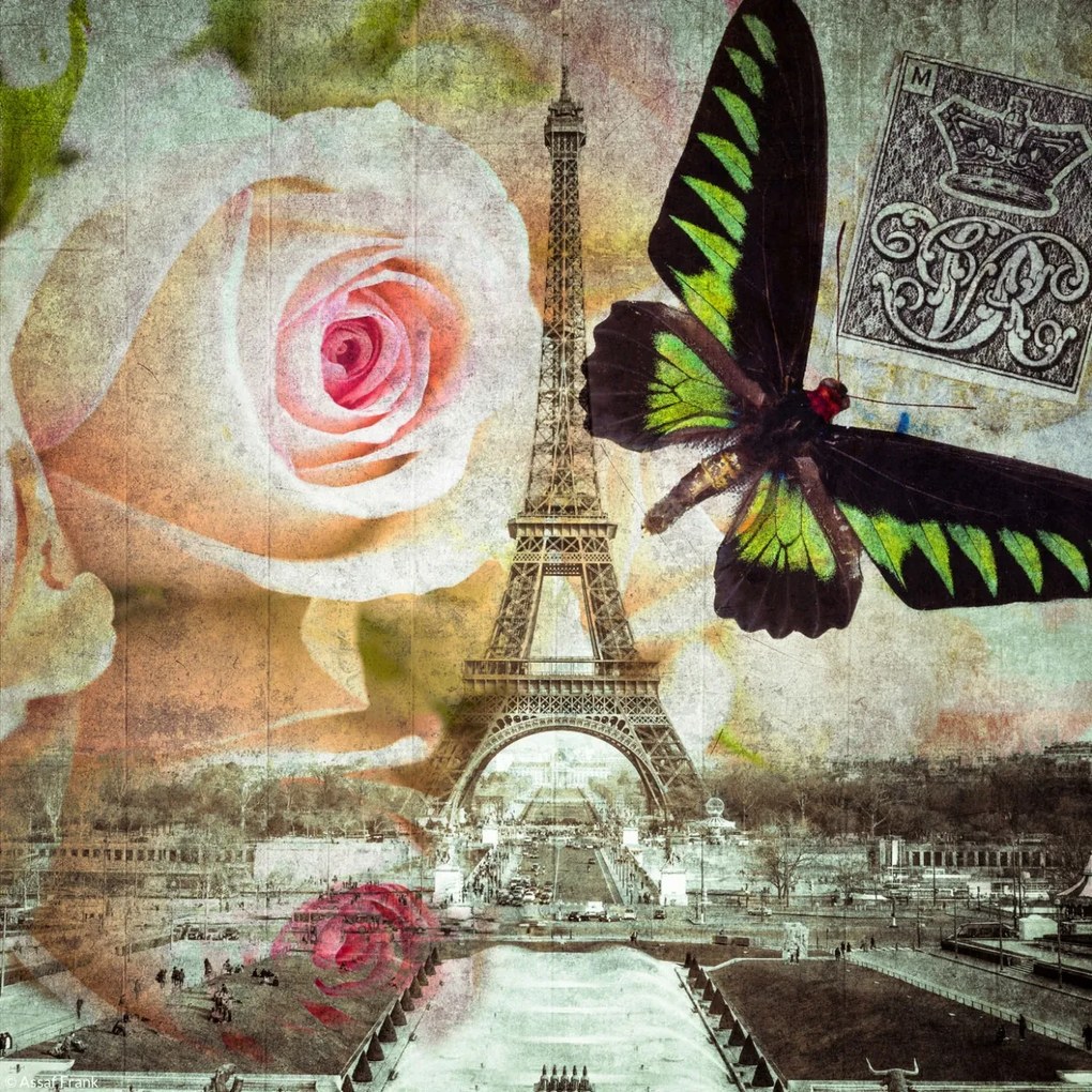 Poszter 20x20cm Eiffel-torony 2, Assaf Frank