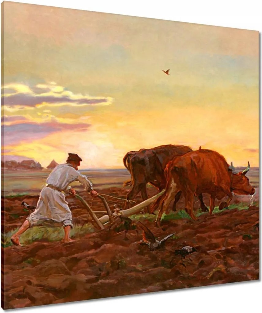 Vászonkép 80x80 Csongrád megyei falu