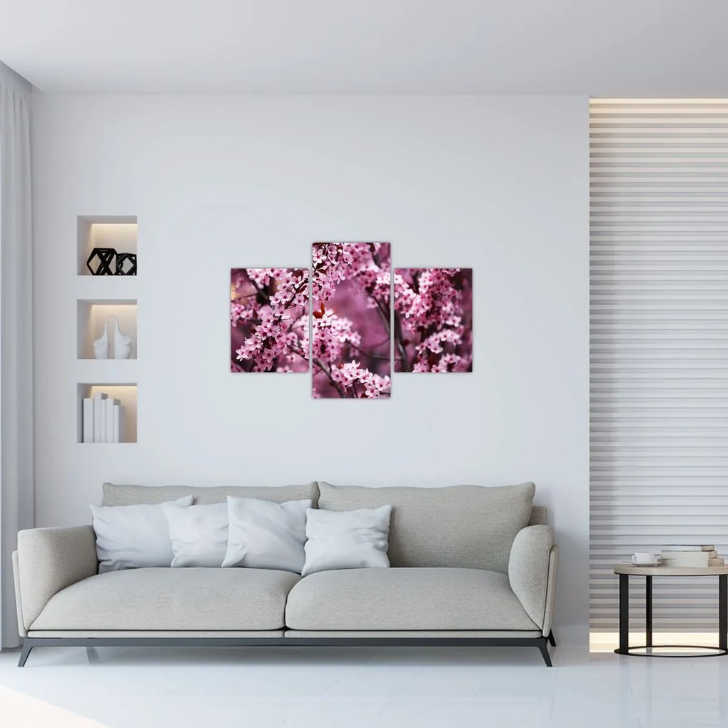 Kép - Rózsaszín sakura (90x60 cm)