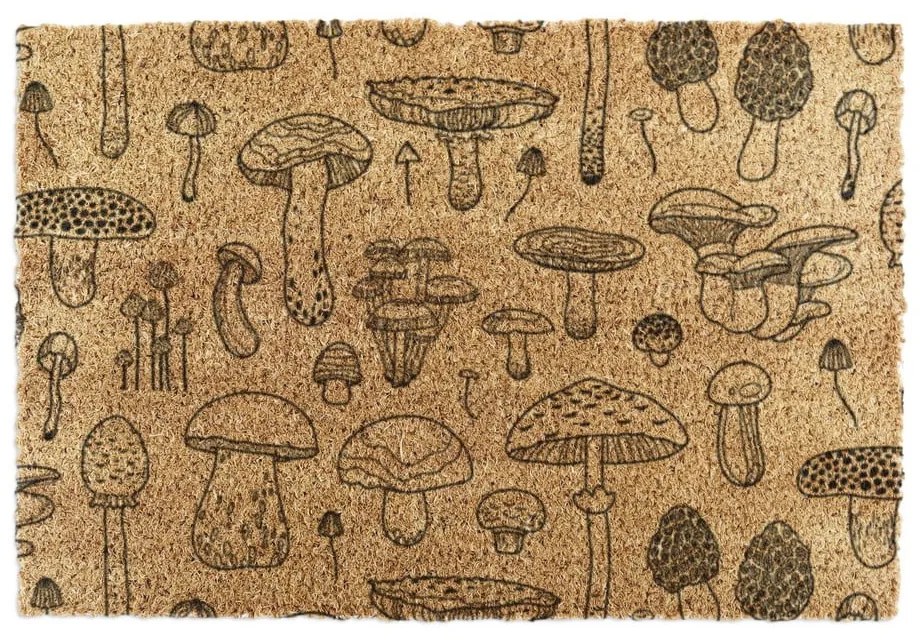 Kókuszrost lábtörlő 40x60 cm Mushrooms – Artsy Doormats