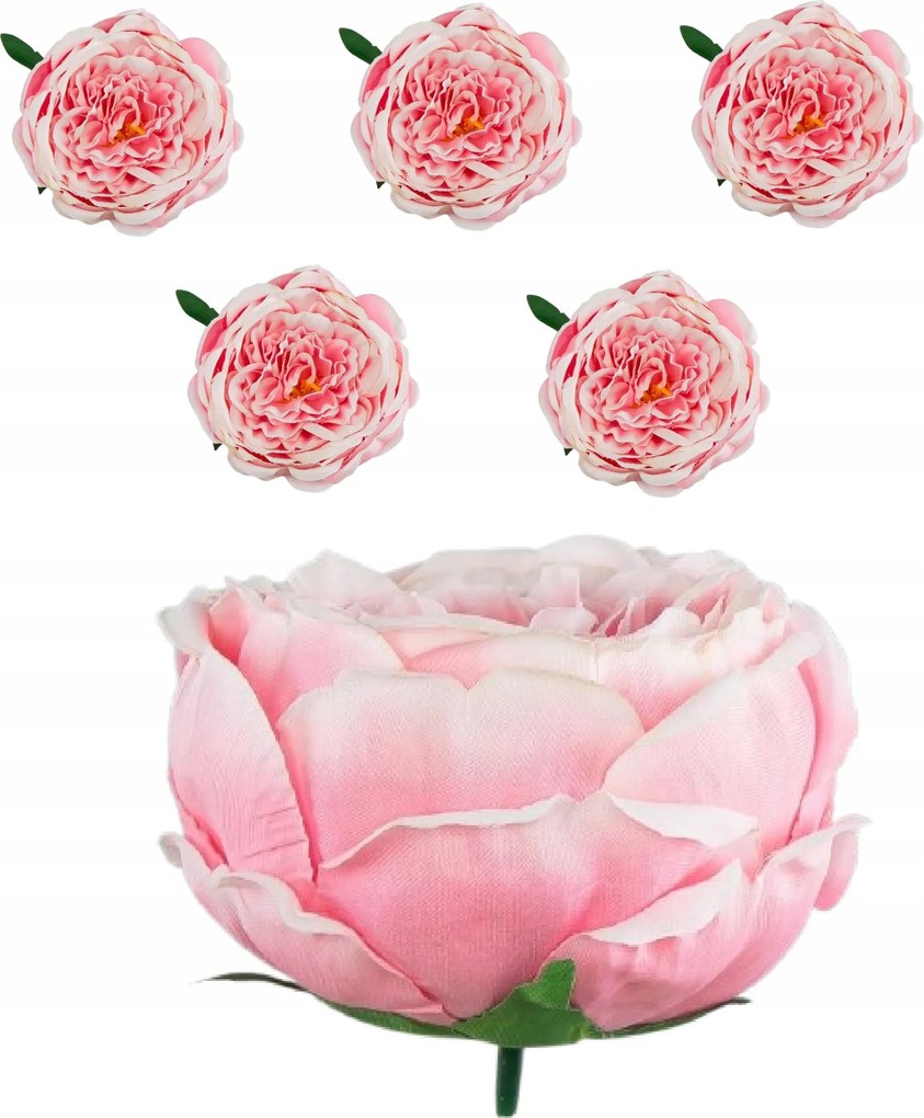 6x Peoni rózsa, Termékfej Peónia Művirág csomókhoz