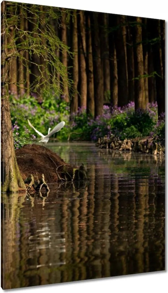 Festmények 80x120 Tájkép Látvány