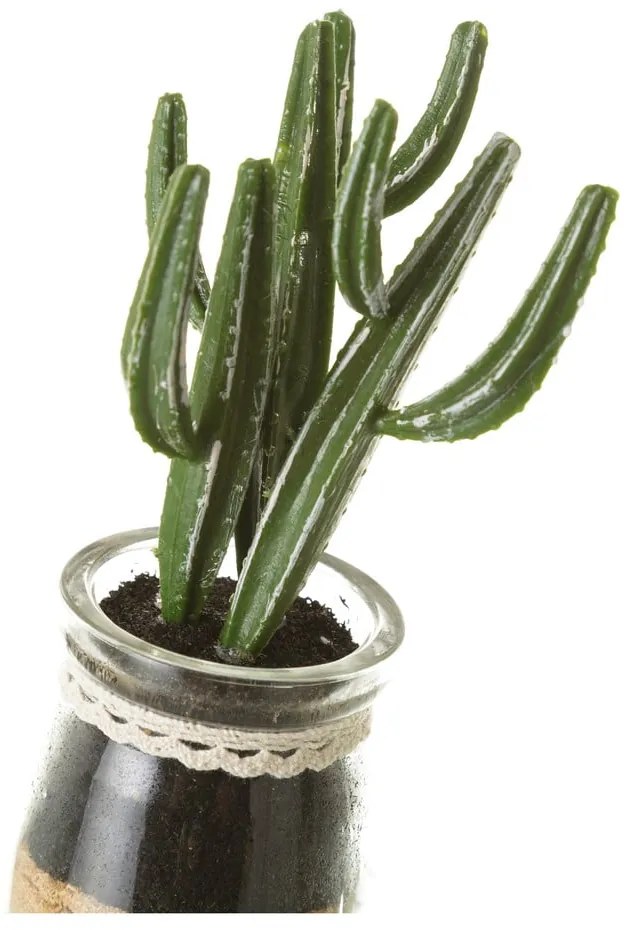 Műnövény szett 4 db-os (magasság 18 cm) Cactus – Casa Selección