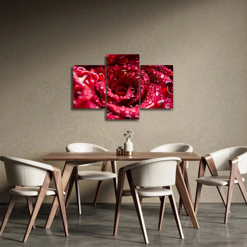 Vörös rózsa virágzata képe (90x60 cm)