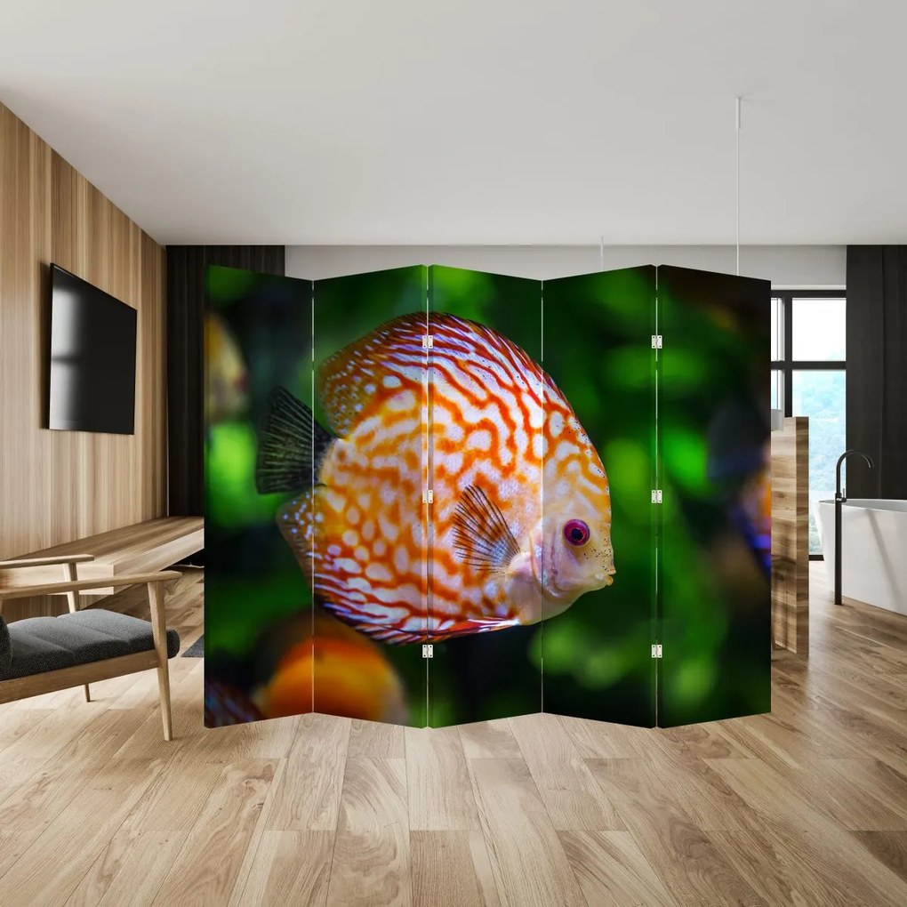 Paraván - Hal (210x170 cm)
