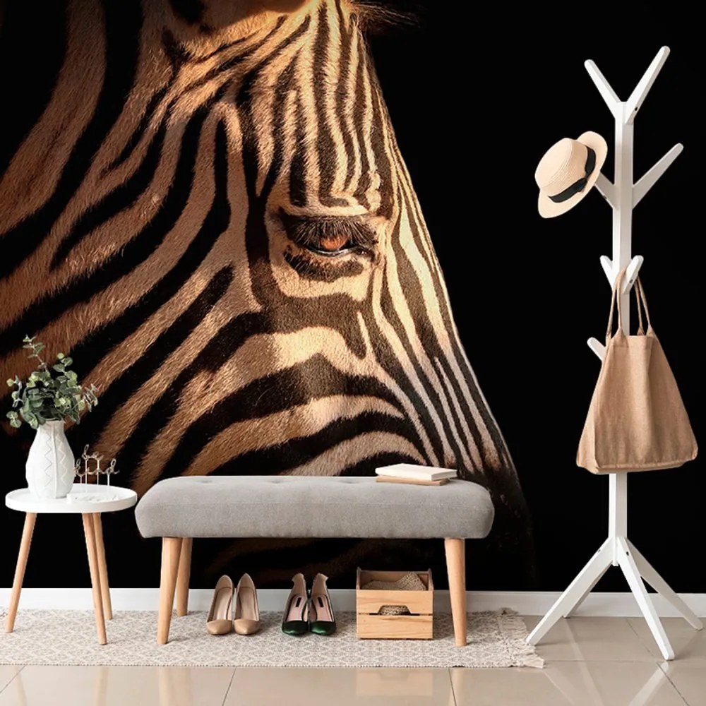 Öntapadó fotótapéta egy zebra portréja