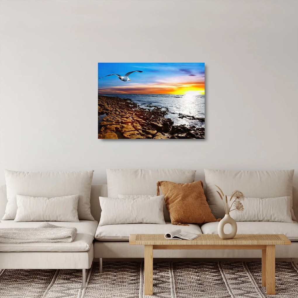 Üveg kép - Sirály repül a tengerpart felett (70x50 cm)