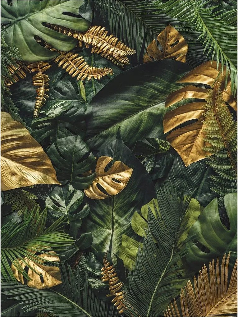 Monstera Palma fotótapéta trópus levelek vinil 184x254 +ragasztó