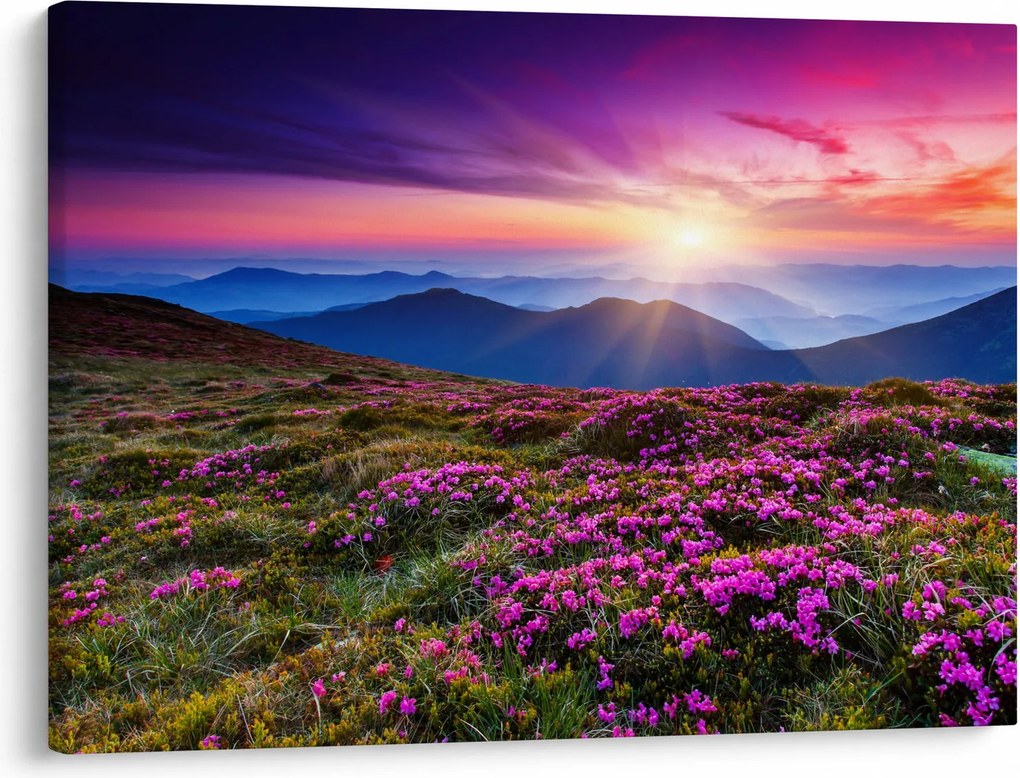 Kép - Hegyi virágzó táj (70x50 cm)