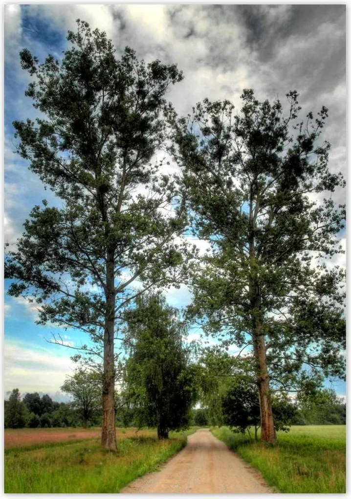 Poszterek 70x100 Vidéki út