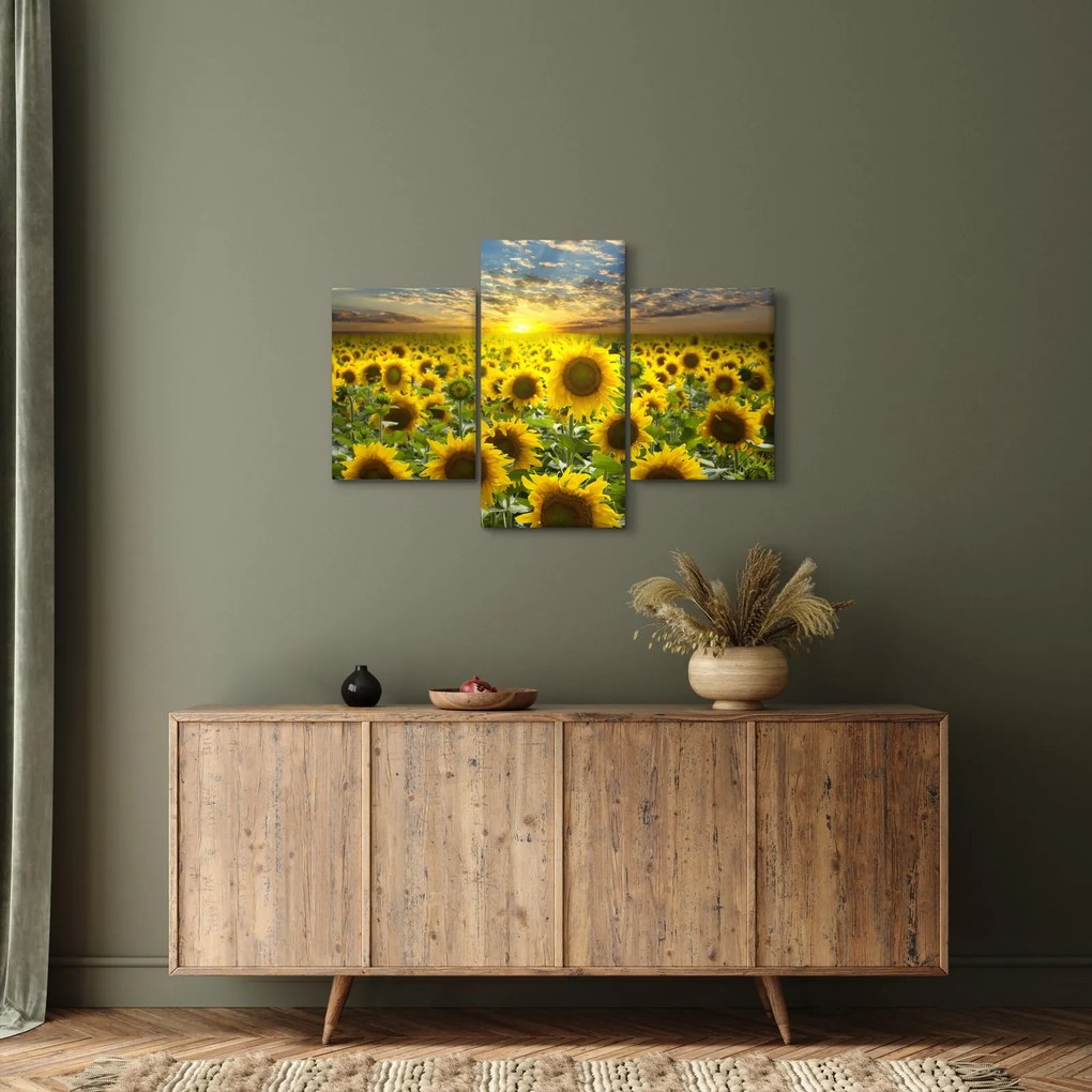 Kép - Napraforgók naplementében (90x60 cm)