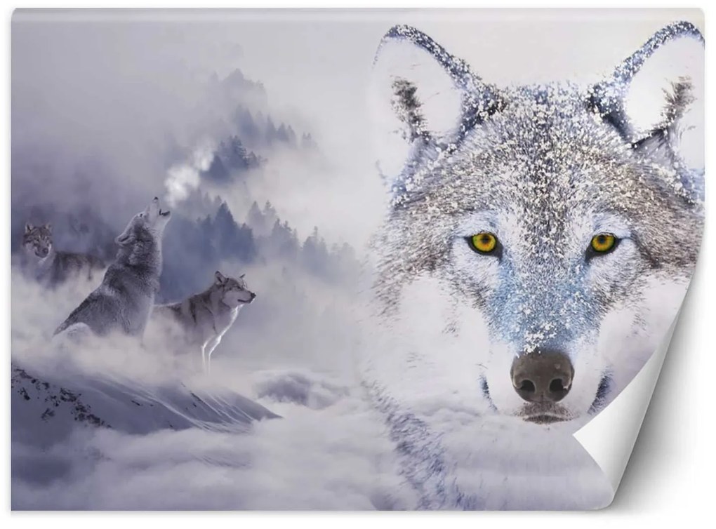 Gario Fotótapéta Farkasok télen Anyag: Vlies, Méret: 400 x 280 cm