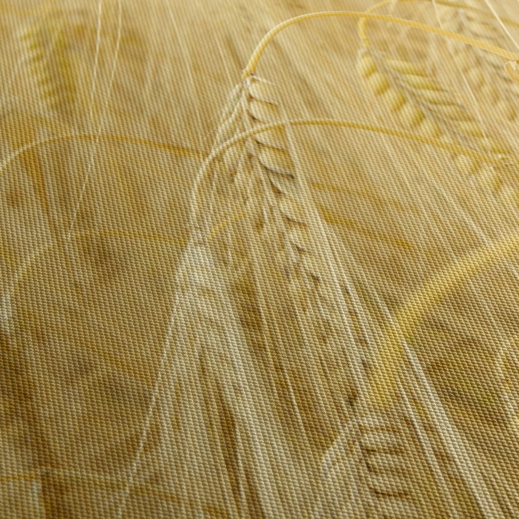 Kép - Árpa (90x60 cm)