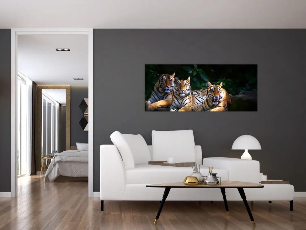 Kép - Tigris testvérek (120x50 cm)