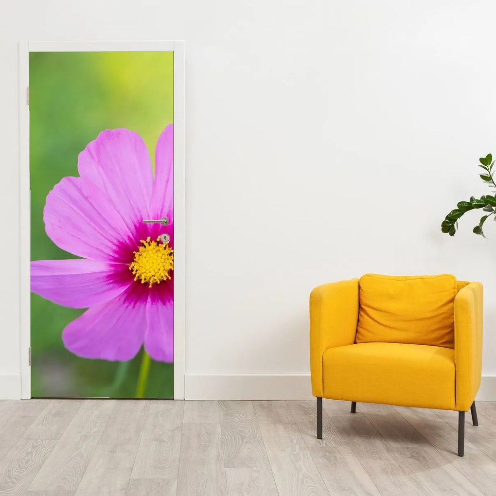Fotótapéta ajtóra - Réti virág (95x205cm)