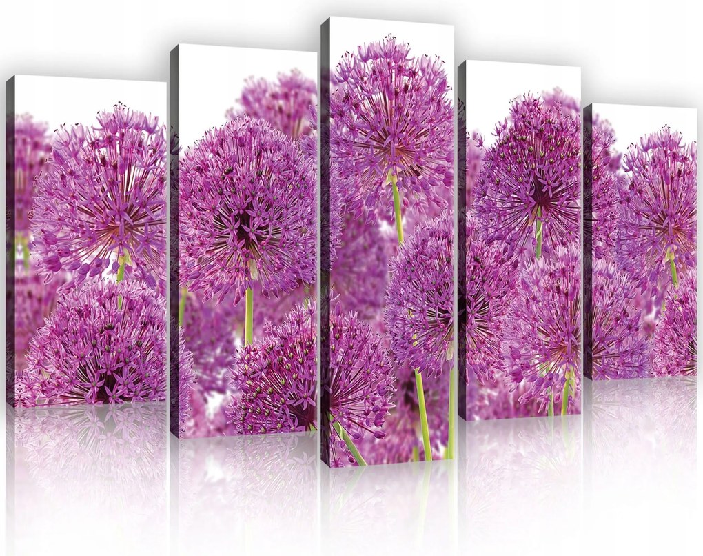 Vászonkép 100x60 Lila fokhagyma alium virágok természet frissesség tavasz nyár