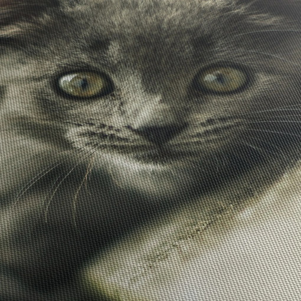 Cica képe (70x50 cm)