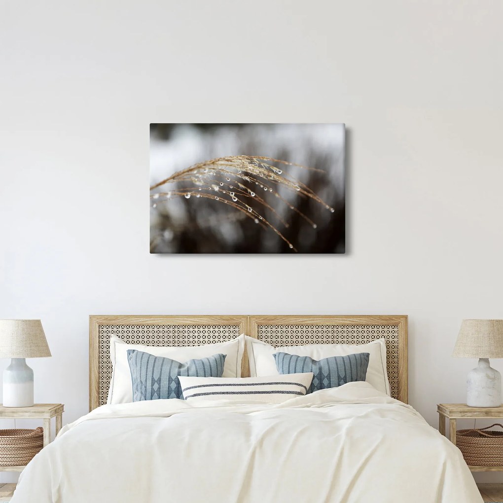 Cseppkép egy növényen (90x60 cm)