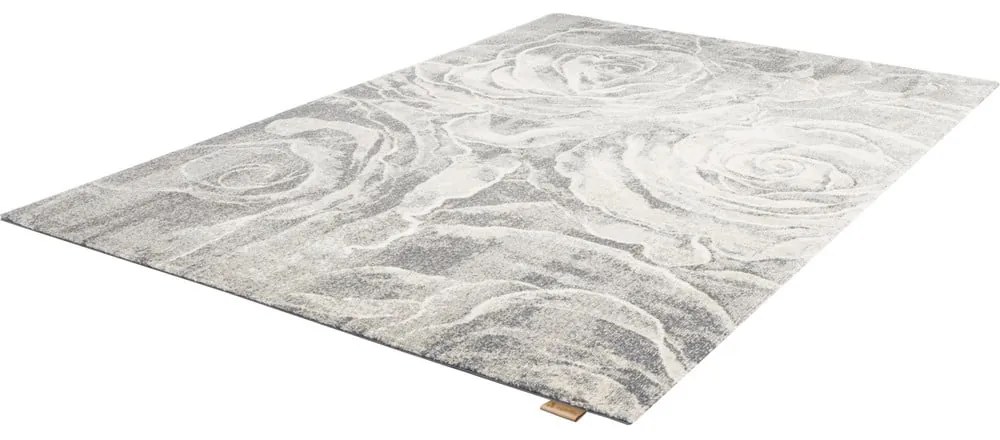 Szürke gyapjú szőnyeg 200x300 cm Ros – Agnella