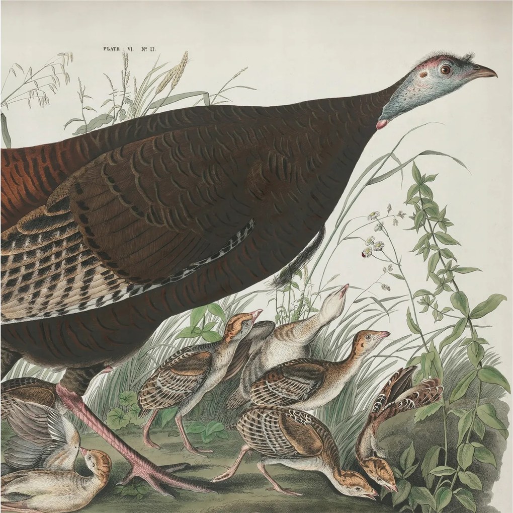 Divatos 3D Fali Tapéta Természetes harmónia 250x250 Ragasztóval