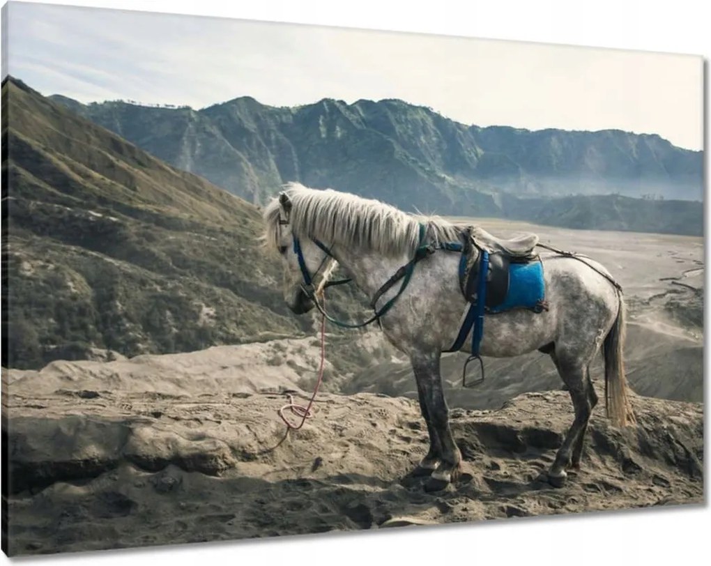 Vászonkép 100x70 Ló expedíció a hegyekbe