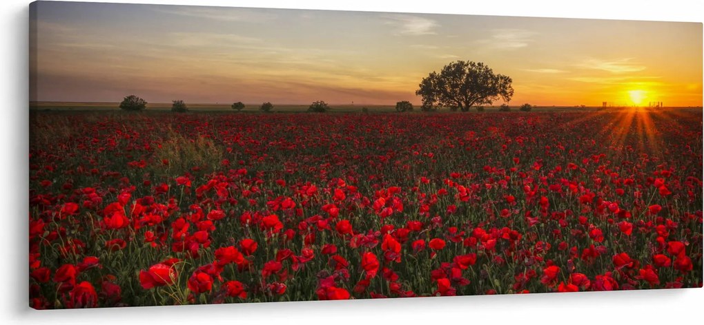 Pipacsos rét képe (120x50 cm)