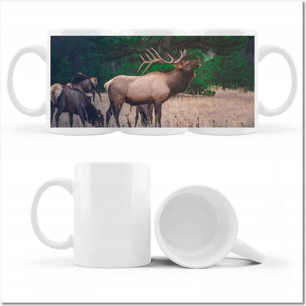 Fotó bögre Szarvas Erdő Tájkép